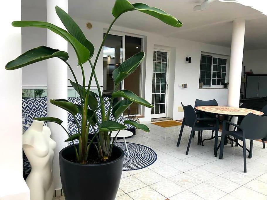 Pura Vida Strandnahes Ferienappartment In Bester Lage! Puerto de la Cruz  Exteriér fotografie